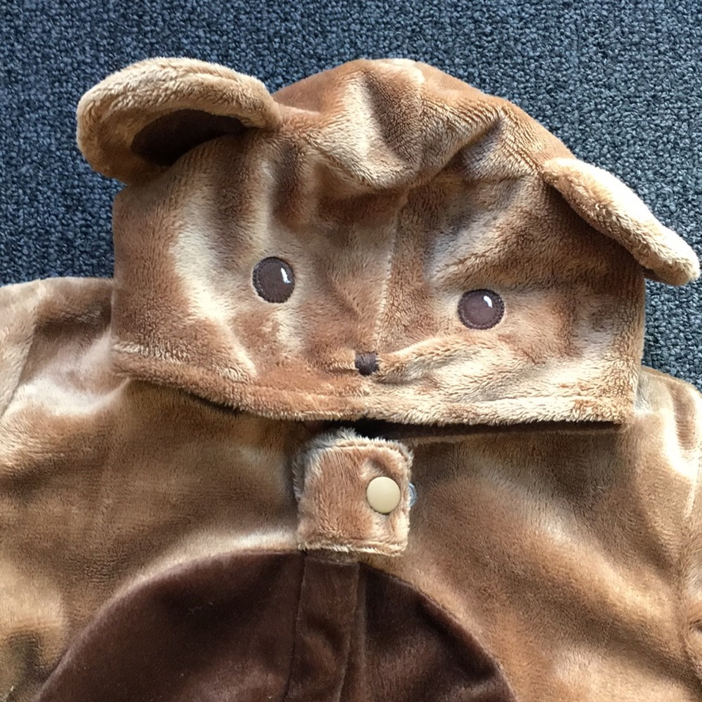 Like New 0-6 Mo Gymboree Infant Bear Costume